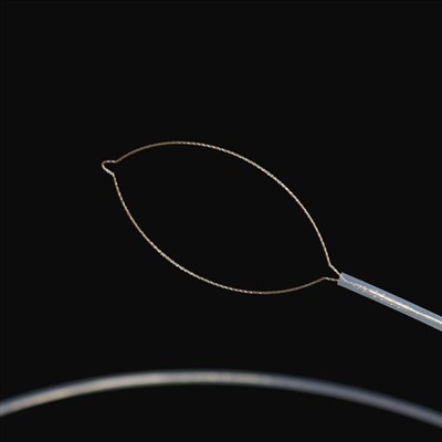 Jow iru awọn ọta ara ajeji